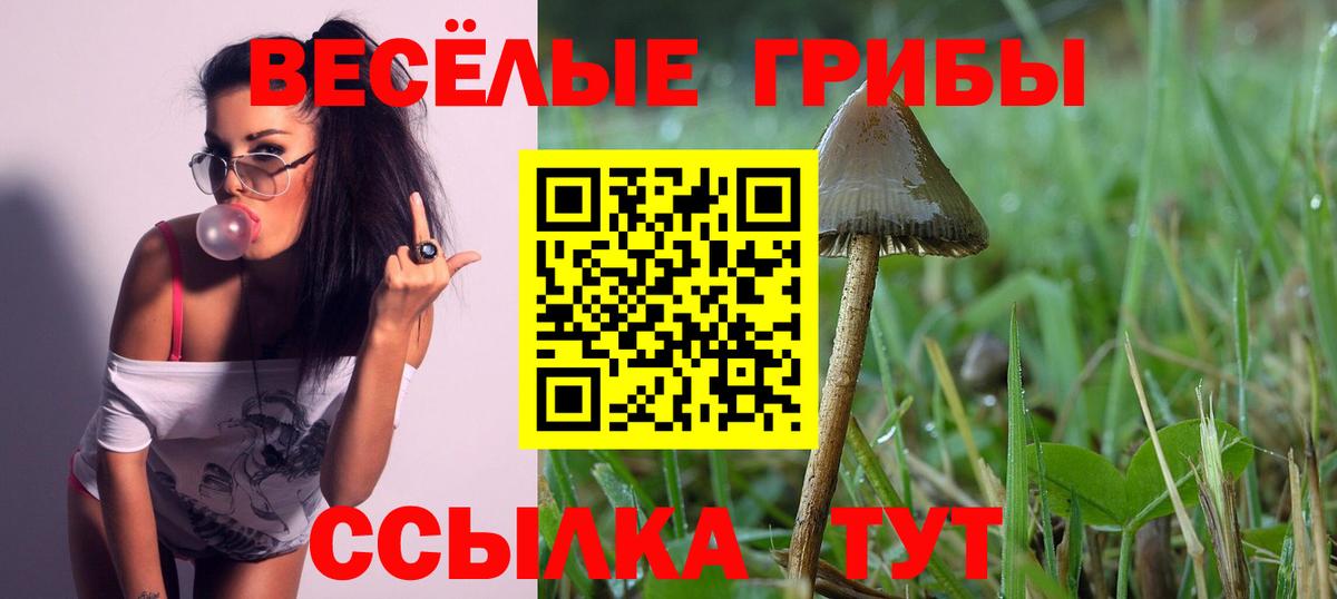 Псилоцибиновые грибы ЛСД Кимовск